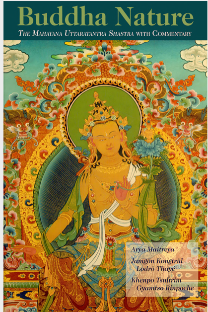 (image for) Buddha Nature by Khenpo Tsultrim (PDF)